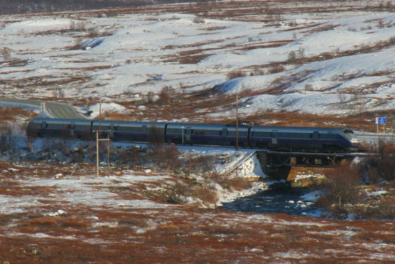 Ein Sigantur auf der Fahrt durch das Dovrefjell; 05.10.2009