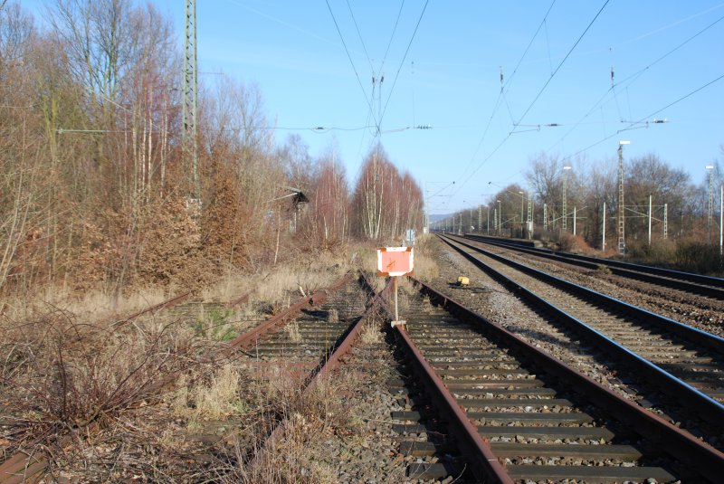 Ein trauriger Anblick. Als ich noch zur Schule gegangen bin, gab es hier im G�terbahnhof von Avenwedde noch regen Zugverkehr. Altmetall und Schrott wurde hier zu Hauf verladen und umgeschlagen. Mittlerweile ist alles stillgelegt. Die Schwellen werden von B�umen auseinandergedr�ckt und angehoben. Sieht mehr nach Wald aus als nach Bahnhof...