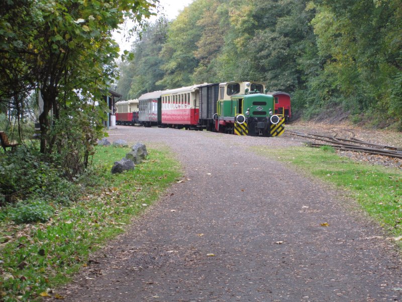 Ein  Vulkan-Express  bei der Brohltalbahn am 22.10.09.
Gezogen wird der Zug von der Diesellok D2.