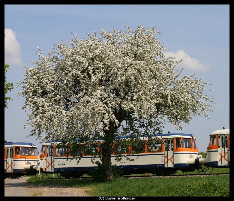 Ein weiterer Versuchsschnitt, hier wieder mittig der VT26, bei Neckarbischofsheim.