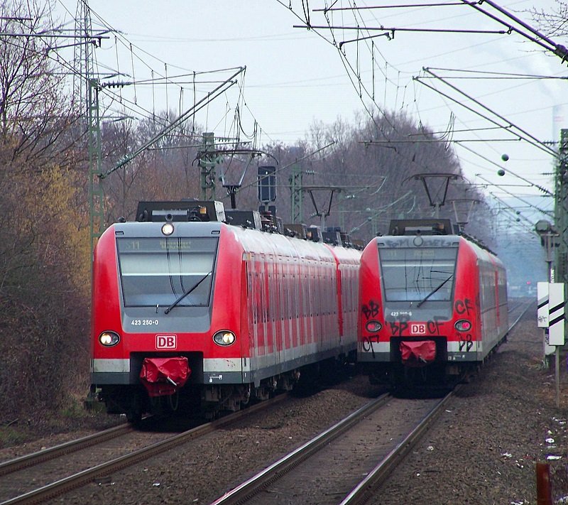 Ein Weiteres Treffen in Kln-Holweide am 15.02.09!
423 250/750 fhrt mit 423 298/798 in K-Holweide ein, whrend der sehr beschmierte 423 299/799 zusammen mit 423 261/761 den Haltepunkt verlsst und auf dem Weg nach Bergisch Gladbach ist.