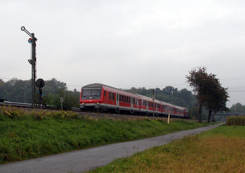 Ein Wittemberger Kopf am 02.10.07 in Meckesheim.