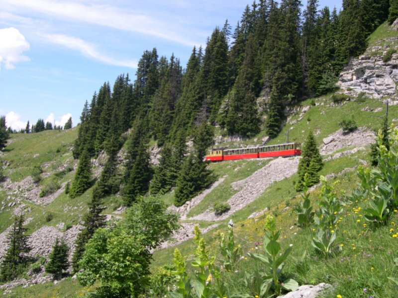 Ein Zug der Schynige-Platte-Bahn (SPB)am 13.07.2005 zwischen Kulm und Breitlauenen auf Talfahrt. Fotografiert vom Wanderweg Schynige Platte - Wilderswil.