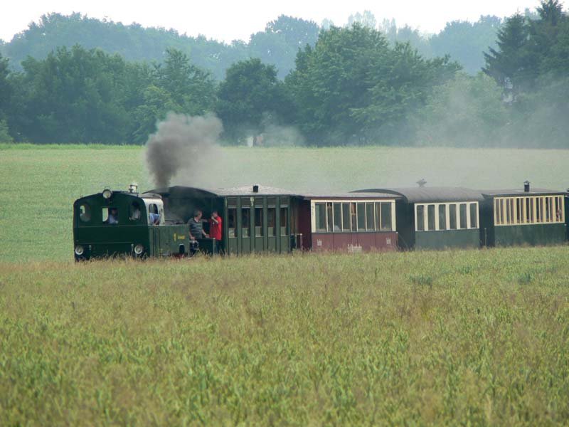 Ein Zug der Selfkantbahn mit der Lok  Schwarzach  bei Gillrath, 25.06.2006