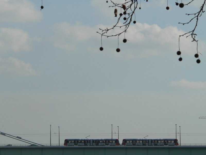 Ein Zug der Stadtbahn auf der Deutzer Brcke. 10.3.2007