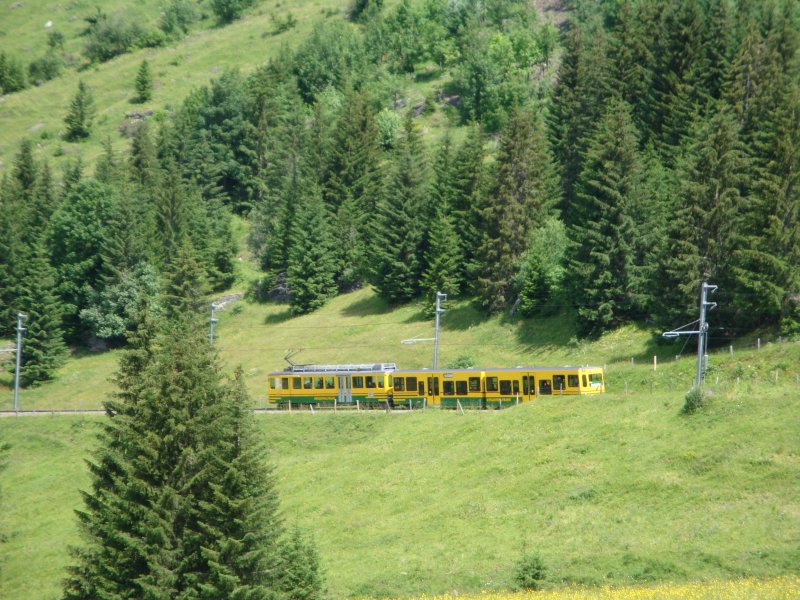 Ein Zug der Wengernalpbahn ist beim Aufstieg auf die Kleine Scheidegg zwischen Wengen und Allmend unterwegs. (9.7.09)