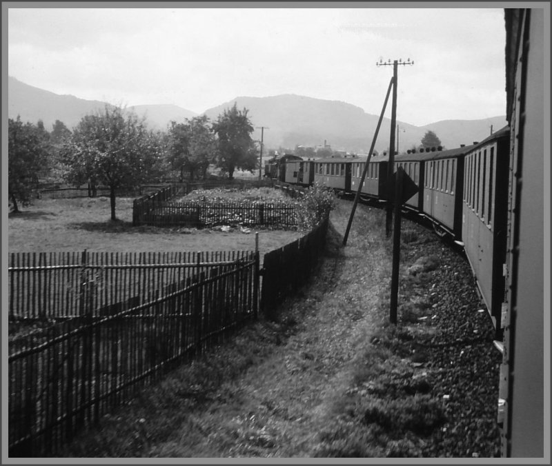 Ein Zug der Zittauer Schmalspurbahnen (damals noch DR) zwischen Zittau und Bertsdorf. (Archiv 07/73)