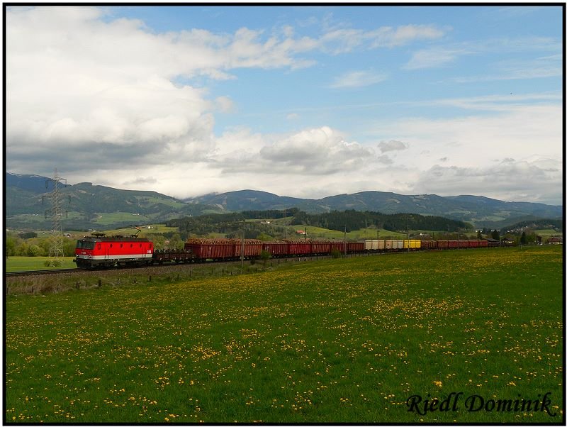 Eine 1044 zieht den 56603 von Selzthal nach Knittelfeld. 
St. Magrethen 01.05.2008