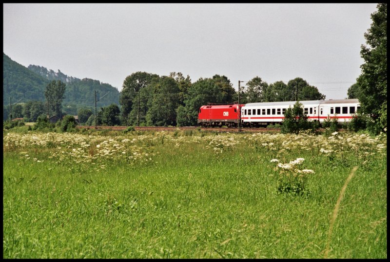 Eine 1116 bringt im Juni 2005 den EuroCity 88  Leonardo da Vinci  vom Grenzbahnhof Brenner/Brennero nach Mnchen. Aufgenommen bei Niederaudorf.