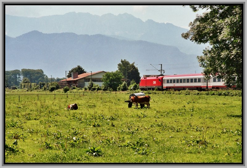 Eine 1116 fhrt bei Niederaudorf im Sommer 2005 mit einem OEC von Wien Richtung Innsbruck.