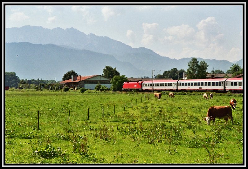 Eine 1116 fhrt mit einem OEC von Wien Richtung Arlberg. Aufgenommen im Sommer 2005 bei Niederaudorf.
