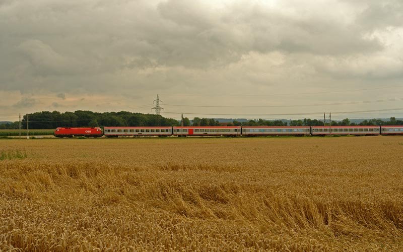 Eine 1116 passiert mit OIC647 Salzburg - Wien die Getreidefelder bei Oftering (22.07.2008)
