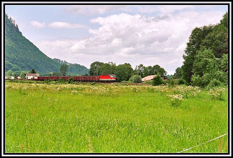 Eine 1144 rollt mit einem Gterzug von Mnchen Richtung Kufstein im Sommer 2005 bei Niederaudorf vorbei.