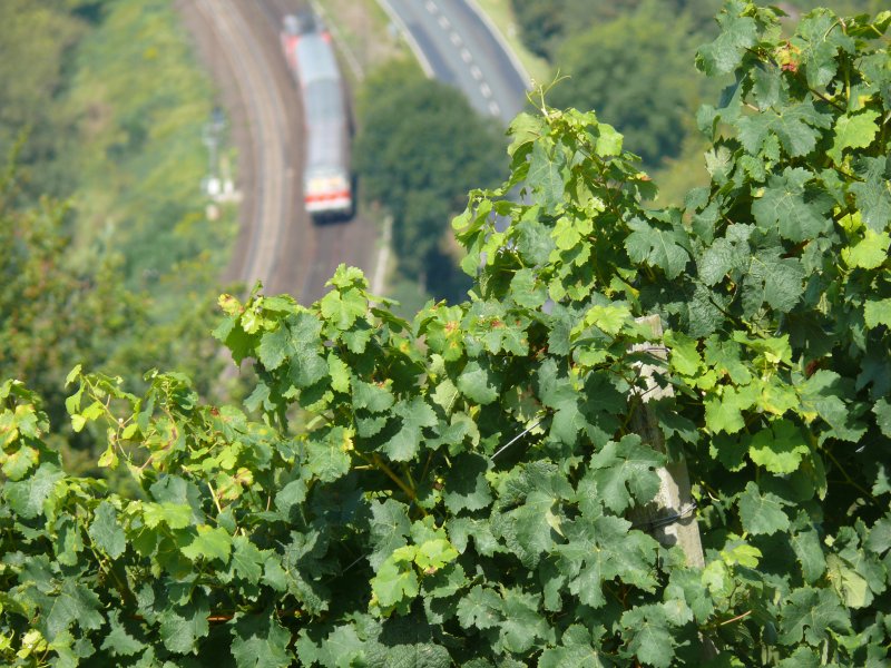 Eine 143 zieht den RE richtung Karlstadt! Fotographiert wurde dieses Foto, wie unschwer zu erkennen, aus einem Weinberg heraus, 19.08.2009