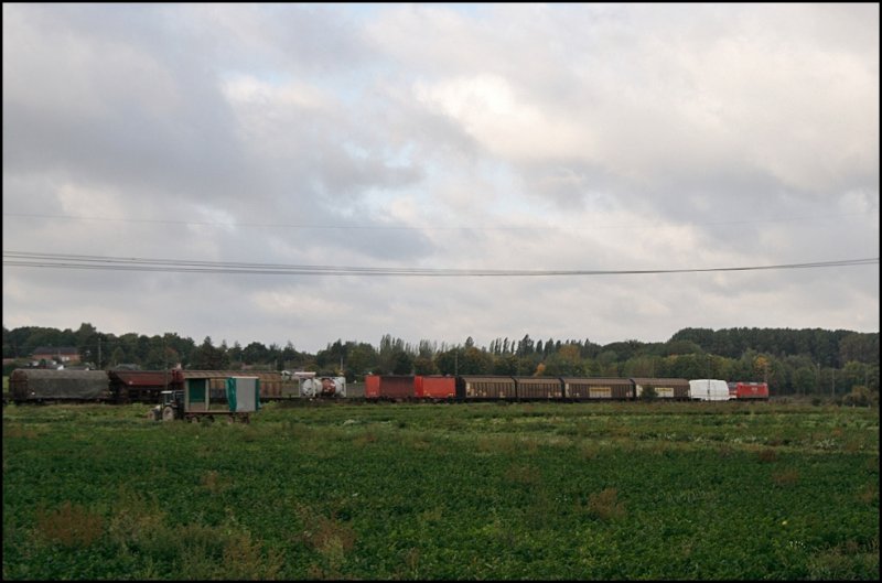 Eine 145er bringt bei Waltrop einen gemischten Gterzug in Richtung Westen. (02.10.2008)