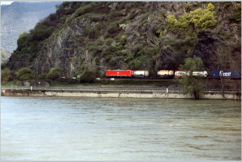 Eine 185 bringt im April einen Containerzug von Basel richtung Kln. Aufgenommen vom Haltepunkt Boppard-Hirzenach.