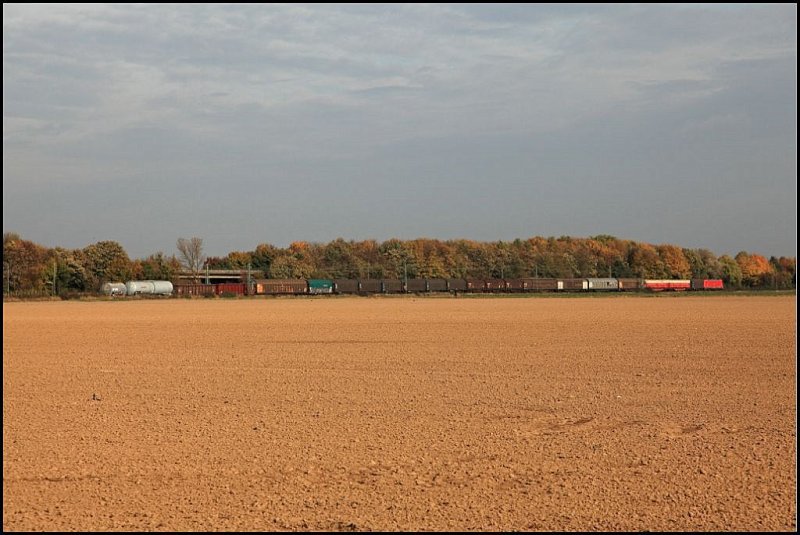 Eine 185er ist mit einem Gterzug bei Menden(Sauerland) in Richtung Gremberg  unterwegs. (24.10.2009)