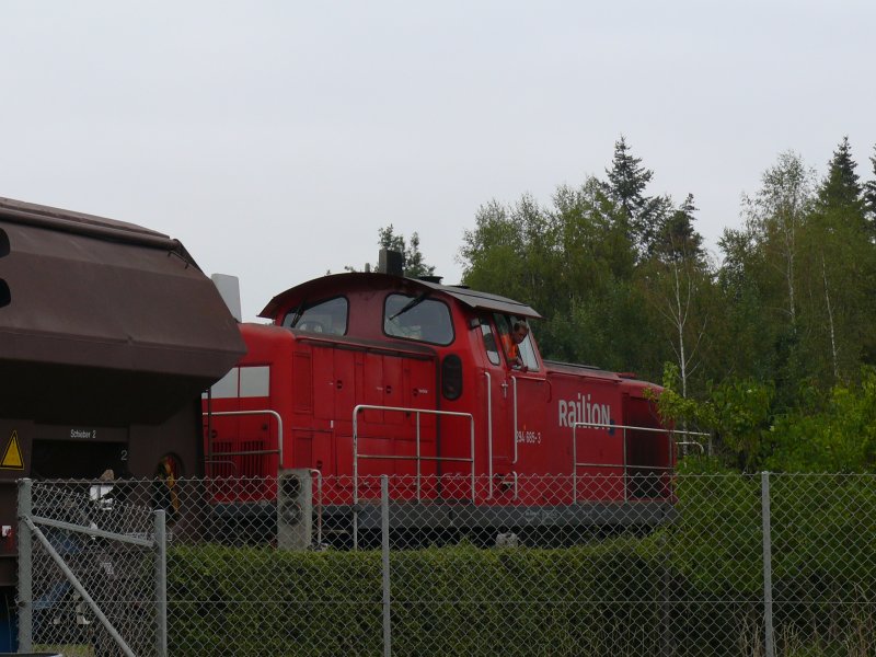 Eine 294 als Gartenbahn oder hat sich die 294 in einen Garten verlaufen? 294 bei der fahrt um die bergabe aus Kaolinwerk in Hirschau abzuholen, 28.08.08