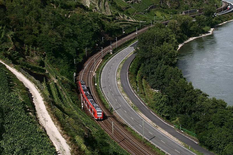 Eine 425-Garnitur fhrt am 14. August entlang des Rheins in Richtung Bingen. Aufgenommen bei Oberwesel.