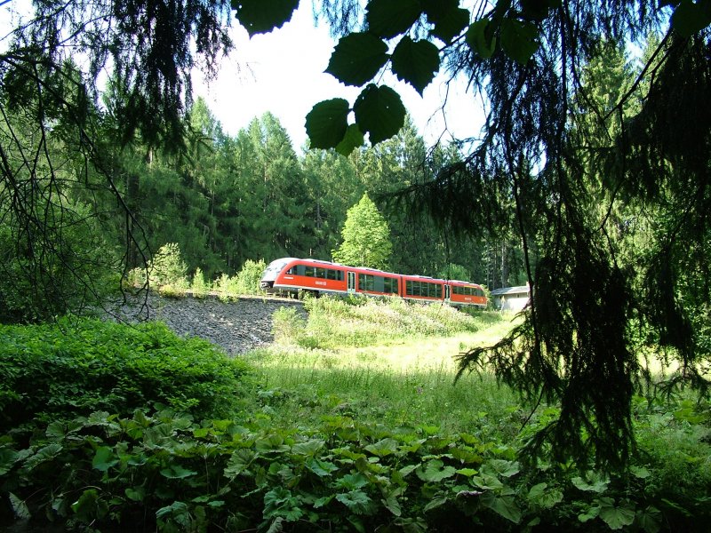 Eine 642-Einheit ist am 04.08.2007 im Sebnitztal kurz vor Ulbersdorf von Bad Schandau nach Pirna unterwegs.