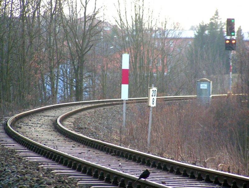 Eine Amsel vorm Einfahrtsignal; 080227