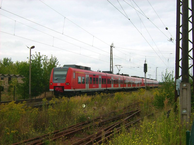 Eine Doppeleinheit der BR 425 als RE von Magdeburg Hbf nach Halle/Saale Hbf bei der Durchfahrt in Stumsdorf.