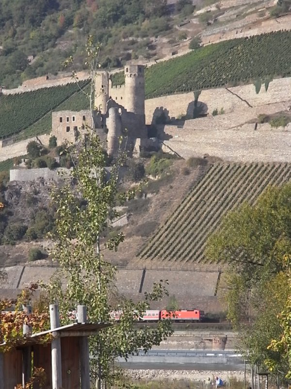 Eine E-Lok der Baureihe 143 fhrt am Wahltag 2009 (27.09. 2009)auf der rechten Rheinstrecke unter einer der vielen Brge vom Rhein hindurch. Aufgenommen von Bingen aus auf die rechte Rheinstrecke kurz vor Rdesheim.