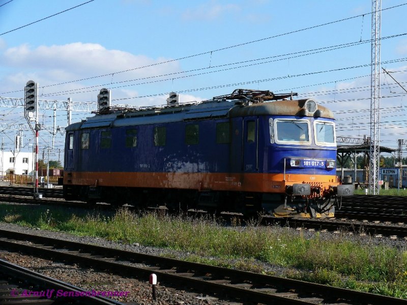 Eine Exotin in Polen: Die von PCC-Rail genutzte Ellok 181-017 stammt aus Tschechien und wurde von PCC-Rail fr den Verkehr in Polen von der CD gemietet. Sie wurde von Skoda gebaut. 
27.09.2008  Rzepin (Reppen)