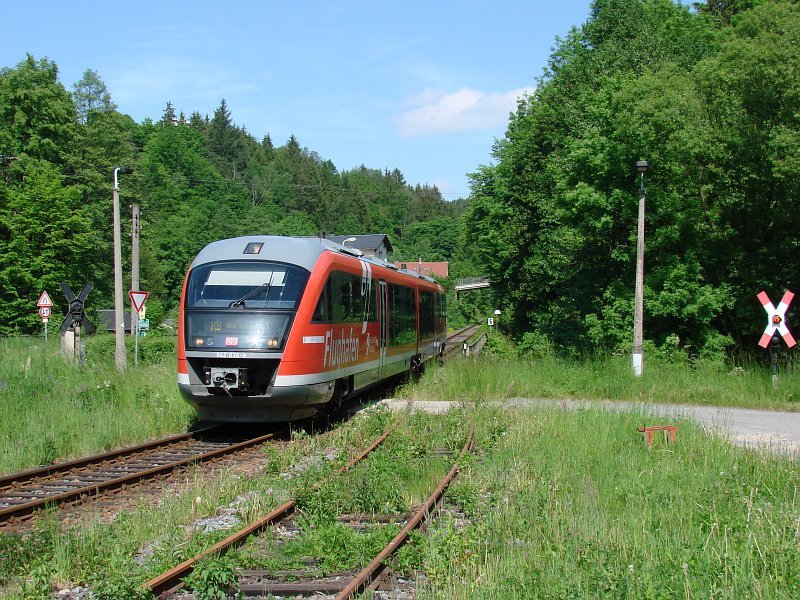eine Flughafenratte am 25.05.2005 in Ulbersdorf