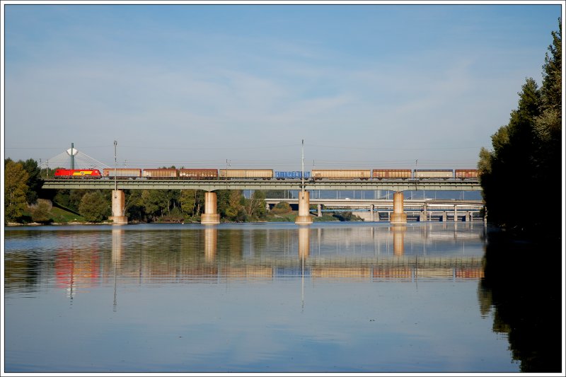 Eine von fnf an die GySEV vermieteten 1116 mit einem Gterzug ber die Ostbahnbrcke am 4.10.2009 in der Wiener Lobau.