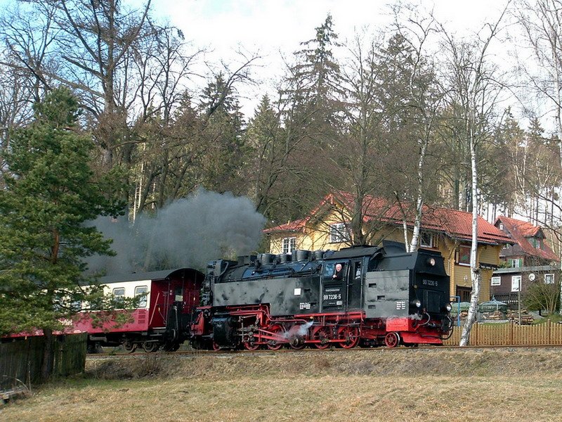 Eine ihrer letzten fahrten ! 99 7236-5 kurz vor der Einfahrt in Elend ! Heute ist die Lok wegen Fristablauf abgestellt !