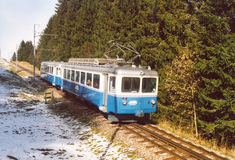 Eine Komposition ist am 15, November 2006 zwischen Rigi Klsterli und Rigi First bergwrts unterwegs.