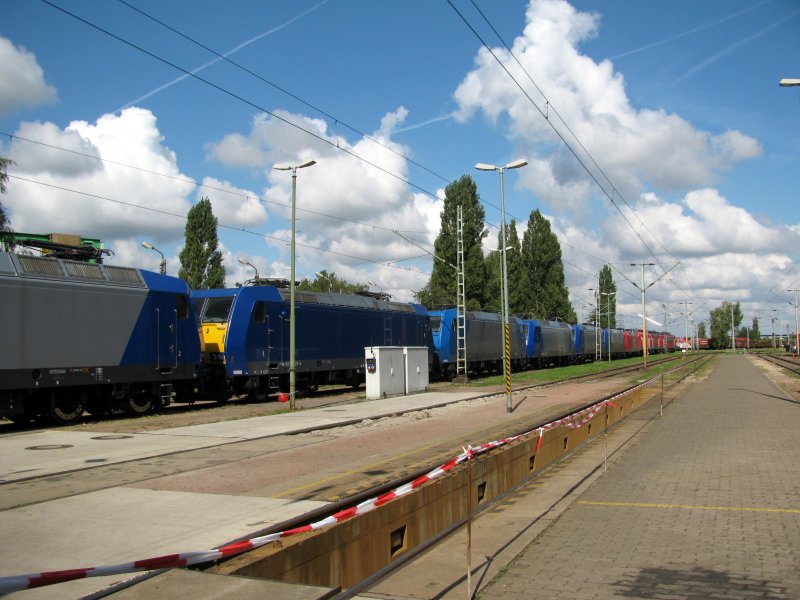 Eine Reihe abgestelleter Loks am Rande des AW&acute;s in Dessau. Darunter z.b. BR 185, BR 143 (der DB und MEG) und 155er beim Tag der offenen T�r.