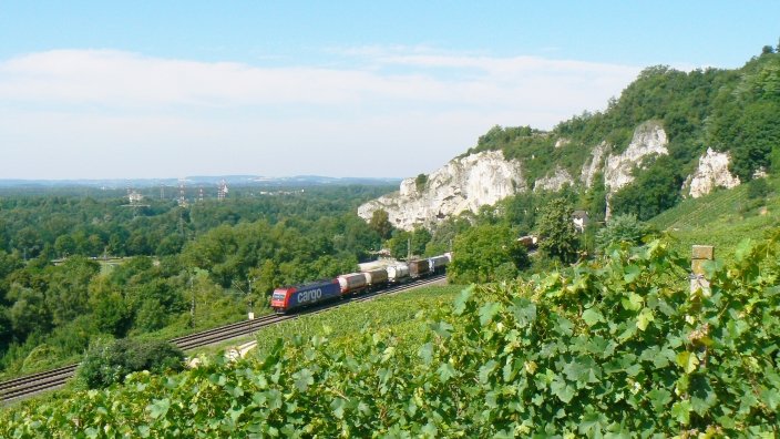 Eine SBB 482 fhrt am Hang in Istein entlang,  eingeklemmt  zwischen Schwarzwald und den Vogesen. In Krze wird sie durch die Tunnel fahren und der Blick auf Frankreich wird verhindert. Basel ist auch bald erreicht und somit die Heimat.