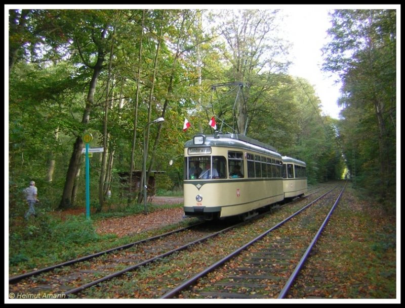Eine der sch�nsten Streckenabschnitte im Streckennetz der Frankfurter Stra�enbahn ist der Abschnitt von Louisa nach Neu-Isenburg, die mitten durch den Wald f�hrt. An der Haltestelle Oberschweinstiege gab der Sonderzug mit L-Triebwagen 124 (ex224) und l-Beiwagen 1242 am 21.10.2006 ein Bild ab, das vor f�nfzig Jahren h�tte aufgenommen sein k�nnen.
