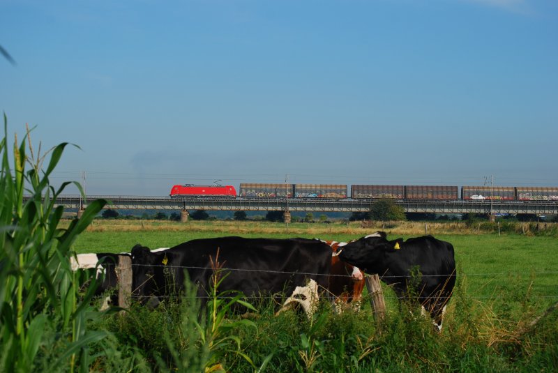 Eine unbekannte 185 mit Gterzug fhrt ber die Weserbrcke bei Dreye. Aufnahme vom 15.08.2008
