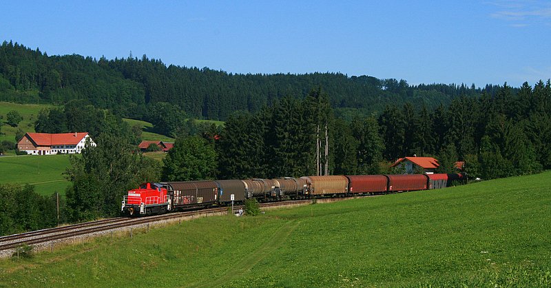 Eine unbekannte 294 fhrt mit dem einzigen, planmsigen Gterzug auf dieser Strecke an einem dutzend Fotografen vorbei. Ellenberg, 18.08.08
