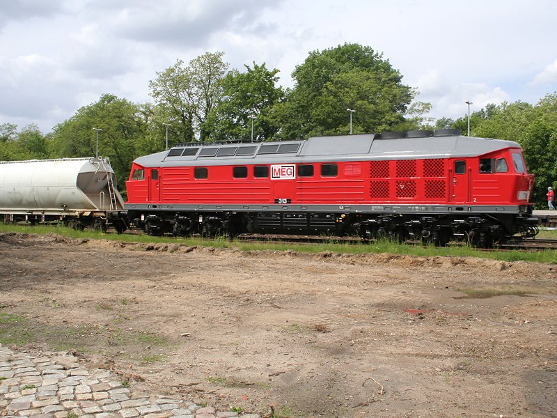 Eine V300 der  Mitteldeutschen Eisenbahn GmbH  als Lok 313 fhrt mit einem Gterzug am S-Bahnhof Hoppegarten vorbei.
Der erste Gterwagen im Bild lsst vermuten, dass es sich um einen Kalk- oder Zementzug nach Rdersdorf handeln knnte.
(13.05.2007)