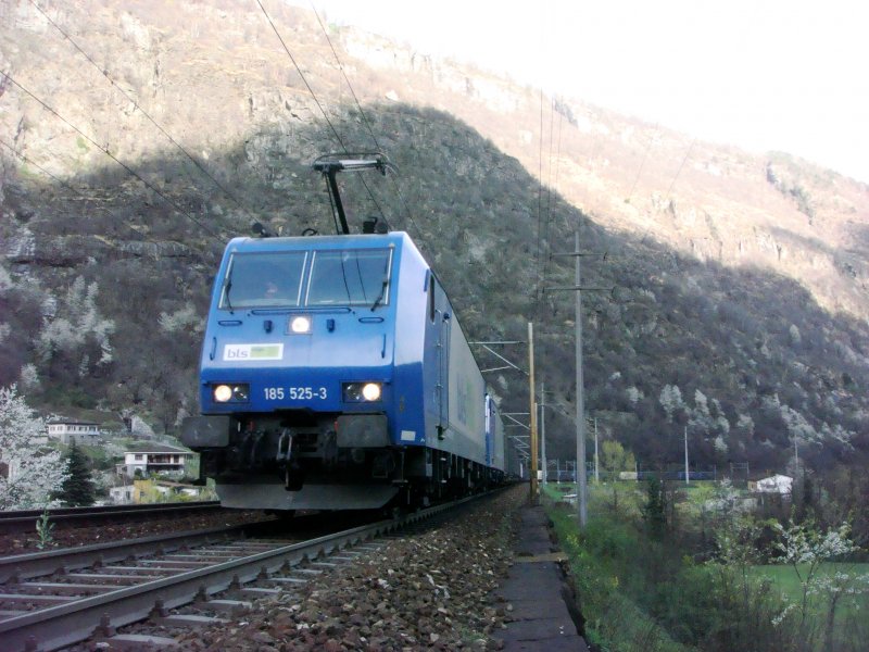 Eine wilkommene Abwechslung: Zwei ATC bls cargo BR 185 fahren am 03.04.2008 zwischen Bodio und Giornico in den Norden.