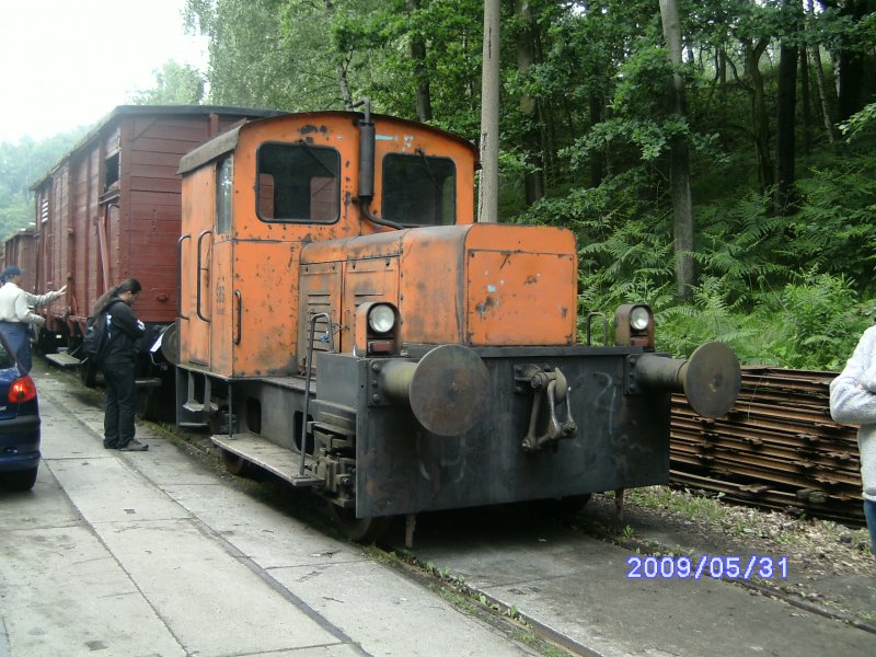 Eine der zwei Normalspurloks des Vereins Historische Feldbahn Dresden, die N2