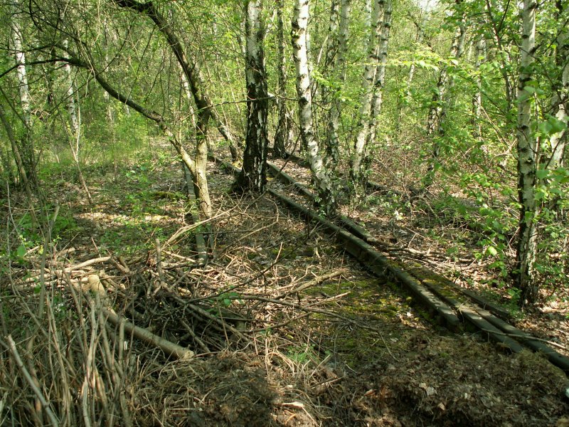 Einen Steinwurf vom Technikmuseum entfernt trifft man noch auf
alte Schienen vom ehem.Bahnbetriebswerk Berlin-Anhalter Bahnhof
30.04.08