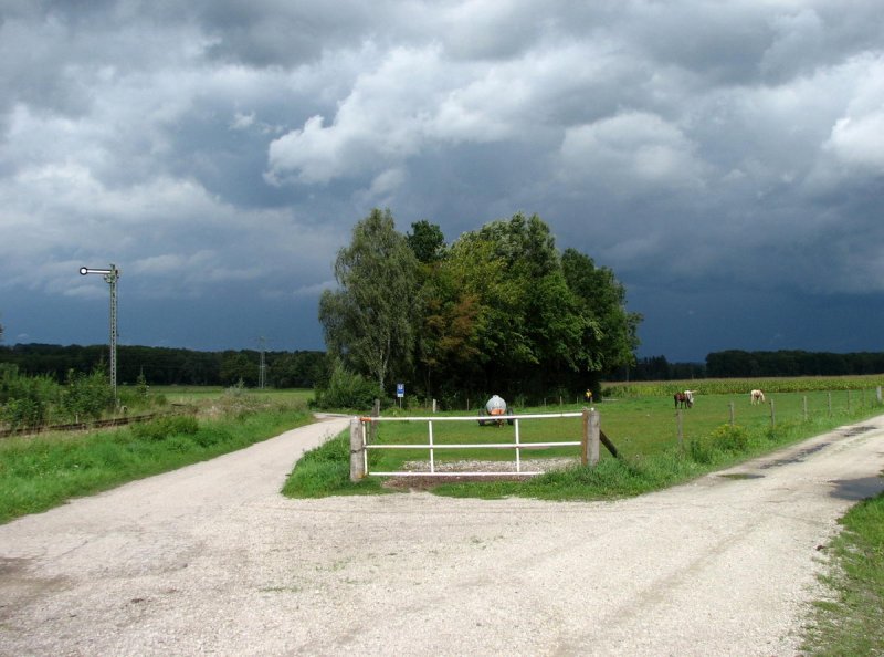 Einfahr-Signal von Langenbach, schade nur, der Zug hat noch gefehlt! (29.08.2006)