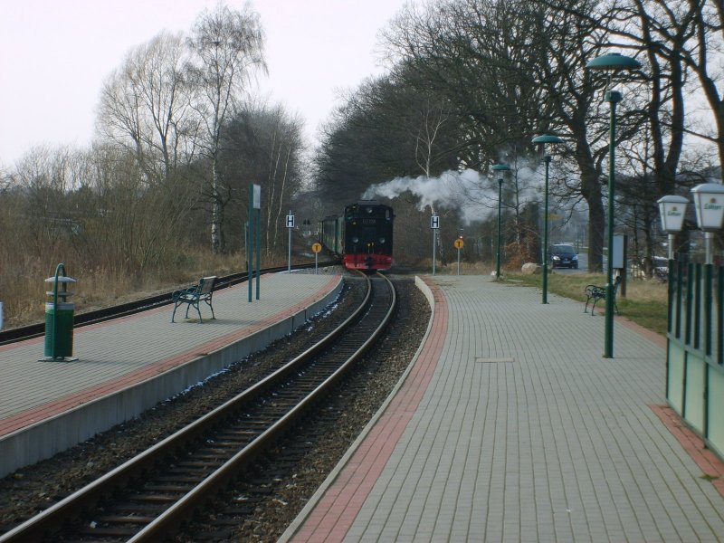 Einfahrt Personenzug der Rgenschen BderBahn in Sellin-Ost aus Richtung Binz mit Lok 99 773 der Fichtelbergbahn. Aufgenommen am 24.03.2008.