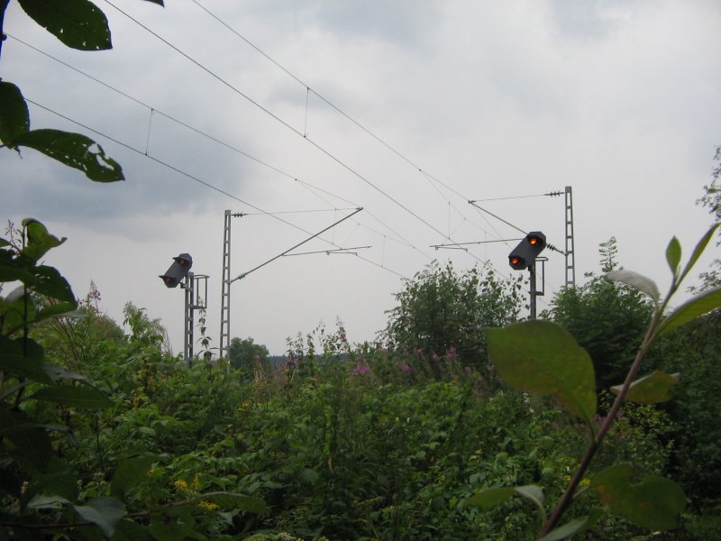 Einfahrvorsignale St.Georgen/Schwarzwald bei km 69,4 der Schwarzwaldbahn 19.8.05. Am 1.3.07 sind wenige Meter dahinter zwei Bume auf die Oberleitung gestrtzt.