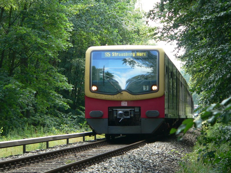 Eingleisig und im 40-Minutentakt geht es mit der S5 nach Strausberg Nord. Bei Hegermhle, 4.8.2007