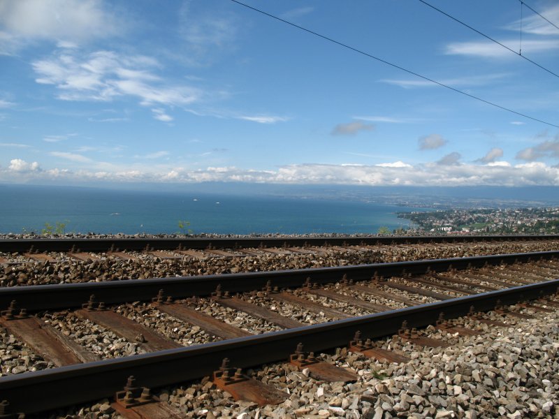 EISEN-BAHN
Vom Wanderweg zwischen Grandvaux und Bossiere (Strecke Lausanne-Bern) aus aufgenommen.
(August 2007)