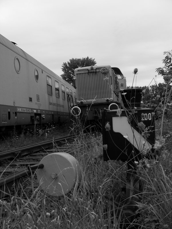 Eisenbahn und Vegetation