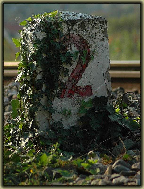 Eisenbahnimpression aufgenommen an der Anschlubahn Wien-Liesing - Waldmhle am 25.9.2006.