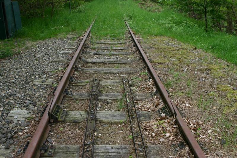  Eiserner Rhein , KBS 487 Rheydt-Dalheim-(Roermond). Deutlich kann man die  Grenze  zwischen Deutschland und den Niederlanden erkennen.