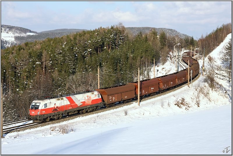EM-Lok 1116 087 Polen fhrt mit Leerzug 47042 von Leoben nach Breclav.
Eichberg Steinbauer Wiese 21.03.2009